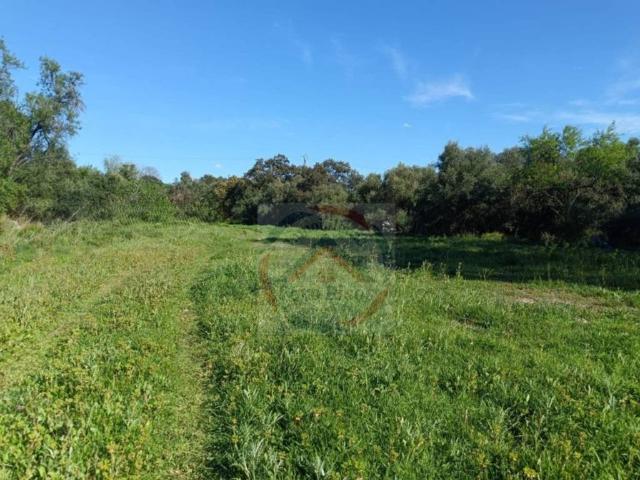 Terreno en venta en la Costera, Valencia