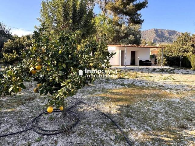 Terreno en venta en Xàtiva, València / Valencia