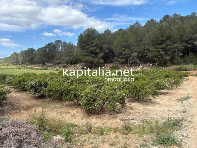 Terreno en venta en la Costera, Valencia