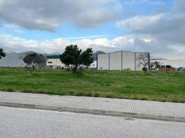 Terreno en venta en la Safor, Valencia