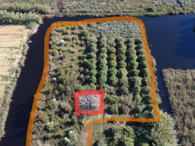 Terreno en venta en la Safor, Valencia