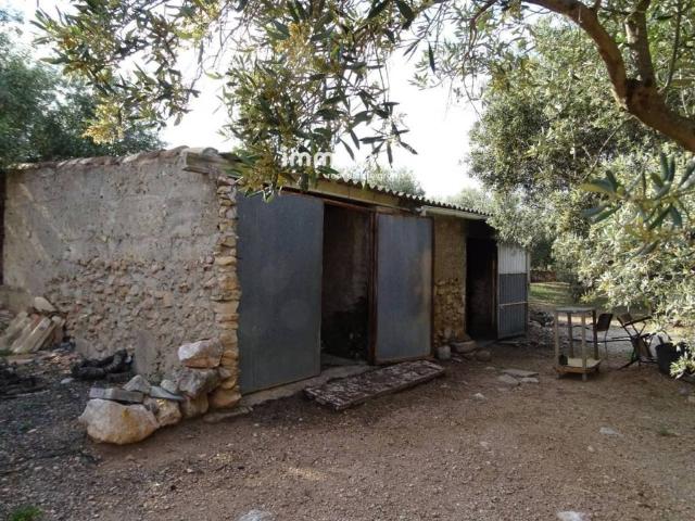 Terreno en venta en Xerta