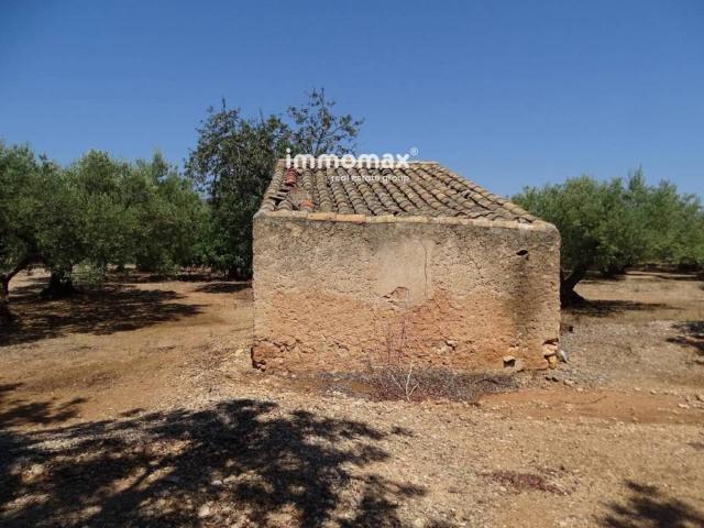 Terreno en venta en Baix Ebre, Catalunya