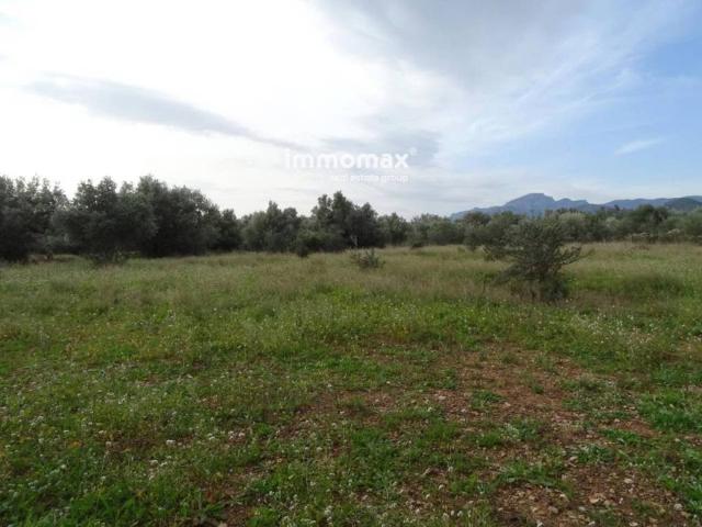 Terreno en venta en Baix Ebre, Catalunya