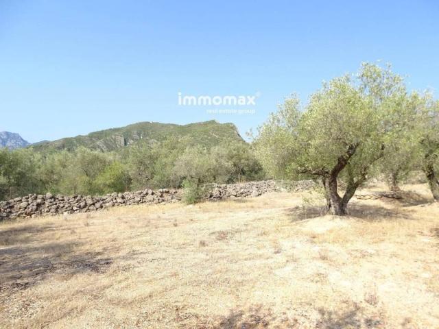 Terreno en venta en Baix Ebre, Catalunya