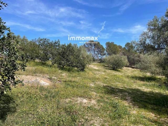 Terreno en venta en Baix Ebre, Catalunya