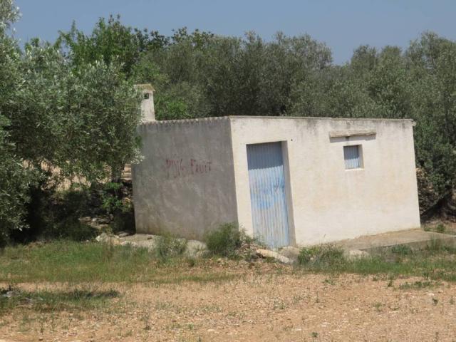 Terreno en venta en Baix Ebre, Catalunya
