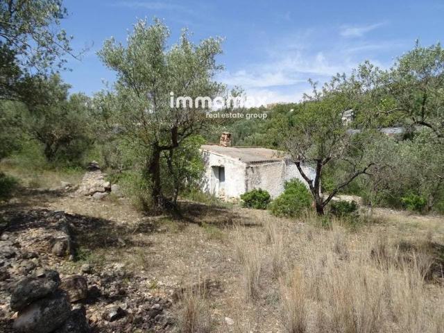 Terreno en venta en Xerta