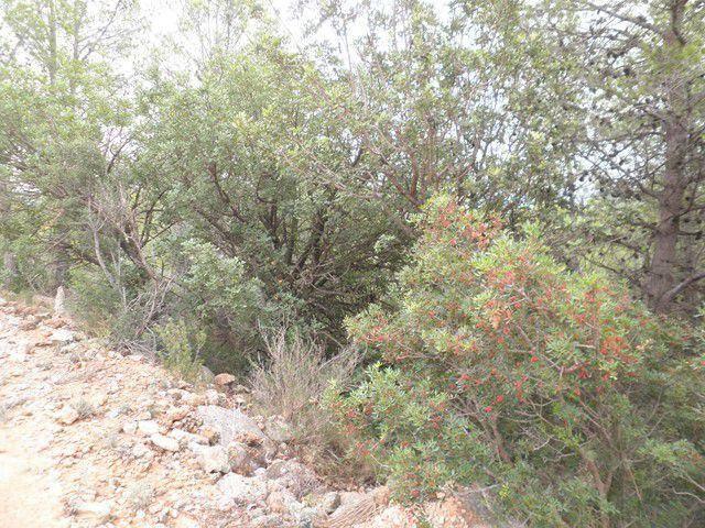 Terreno en venta en Xerta