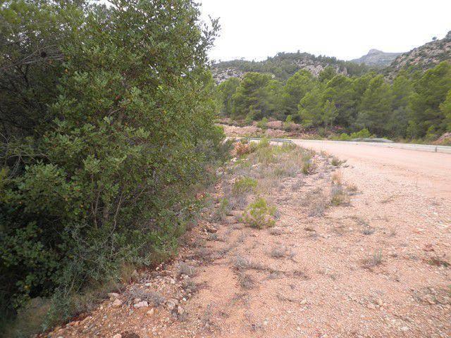 Terreno en venta en Baix Ebre, Catalunya