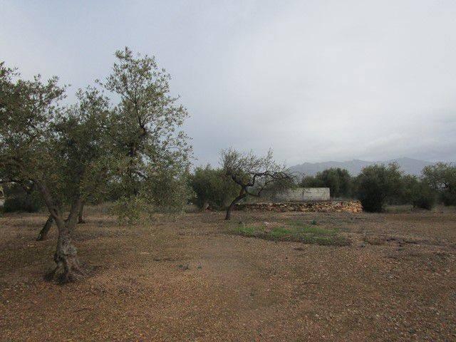 Terreno en venta en Baix Ebre, Catalunya
