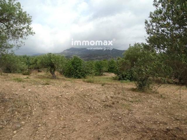 Terreno en venta en Xerta