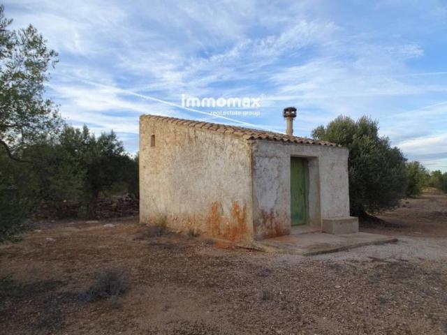 Terreno en venta en Baix Ebre, Catalunya