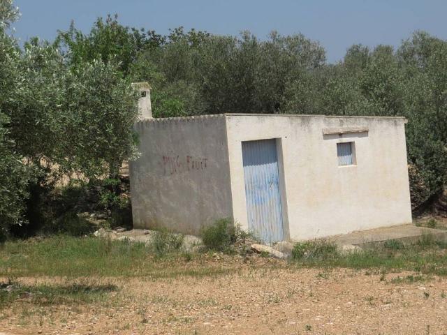 Terreno en venta en Xerta