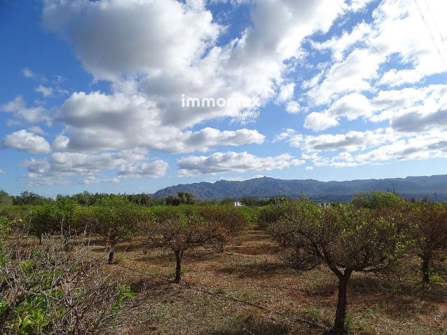 Terreno en venta en Xerta