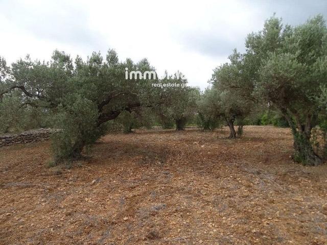 Terreno en venta en Baix Ebre, Catalunya