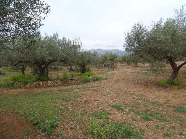 Terreno en venta en Baix Ebre, Catalunya