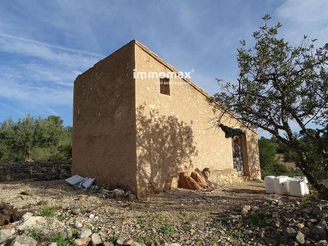 Terreno en venta en Xerta