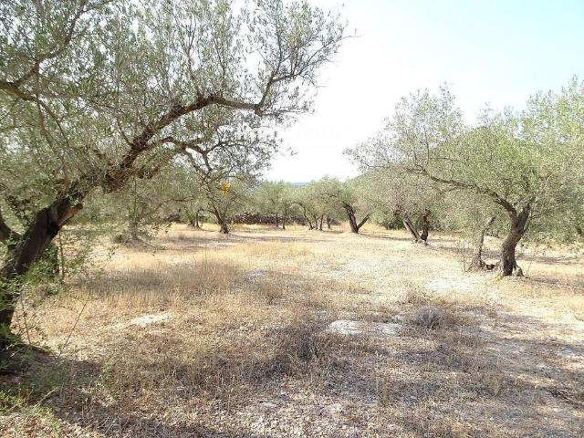 Terreno en venta en Baix Ebre, Catalunya