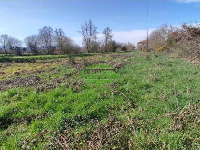 Terreno en venta en A Limia, Galicia