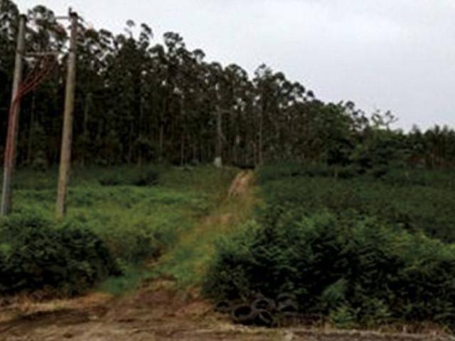 Terreno en venta en A Mariña Occidental, Galicia