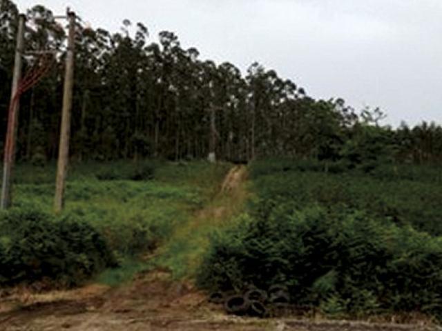 Terreno en venta en Xove, Lugo