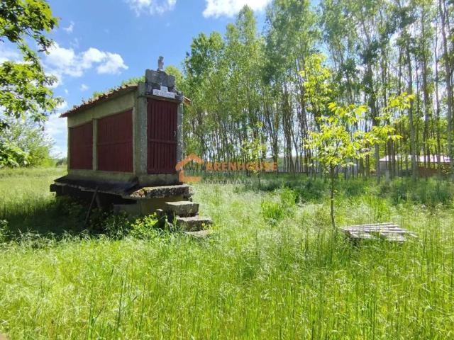 Terreno en venta en Xunqueira De Ambía
