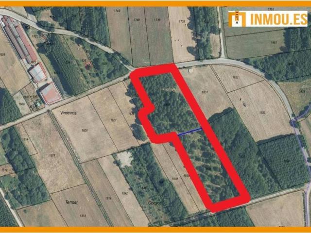 Terreno en venta en Allariz-Maceda, Galicia