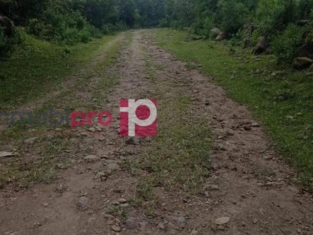 TERRENO EN VENTA EN YECAPÍXTLA MORELOS