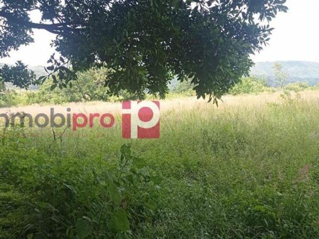 TERRENO EN VENTA EN YECAPÍXTLA MORELOS