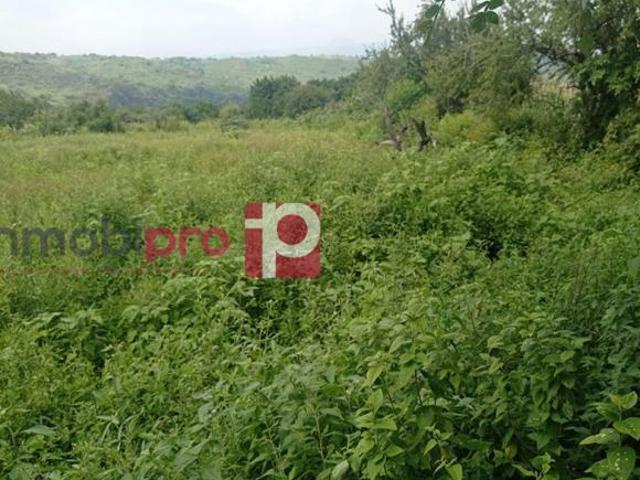 TERRENO EN VENTA EN YECAPÍXTLA MORELOS