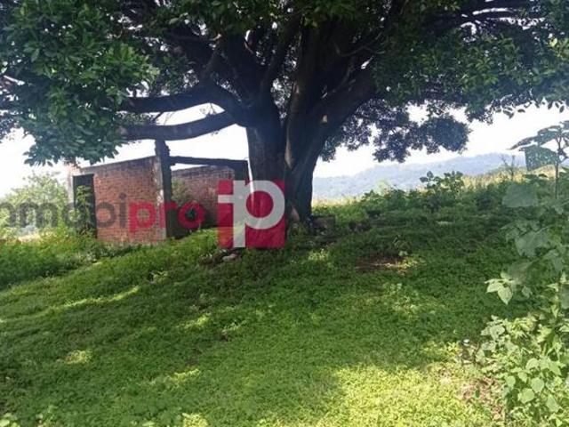 TERRENO EN VENTA EN YECAPÍXTLA MORELOS