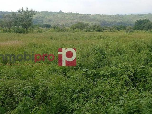 TERRENO EN VENTA EN YECAPÍXTLA MORELOS