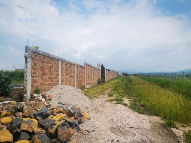 Terreno en venta en Yecapixtla