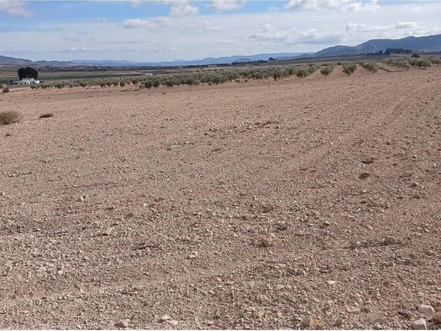 Terreno en venta en Altiplano, Murcia