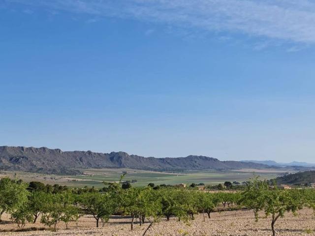 Terreno en venta en Altiplano, Murcia