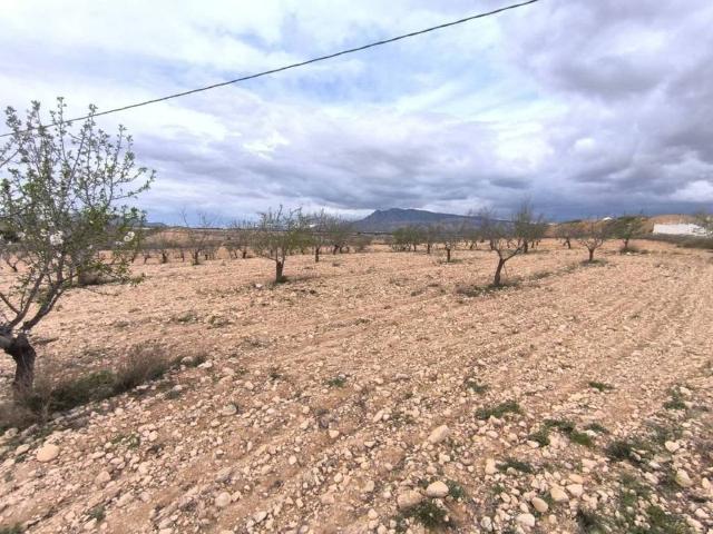Terreno en venta en Altiplano, Murcia