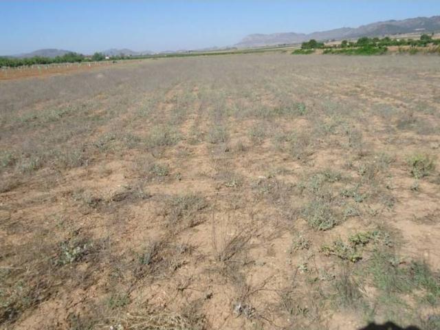 Terreno en venta en Altiplano, Murcia