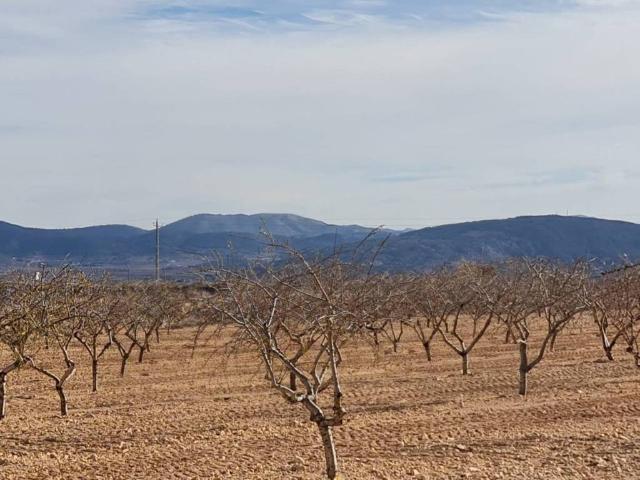 Terreno en venta en Altiplano, Murcia
