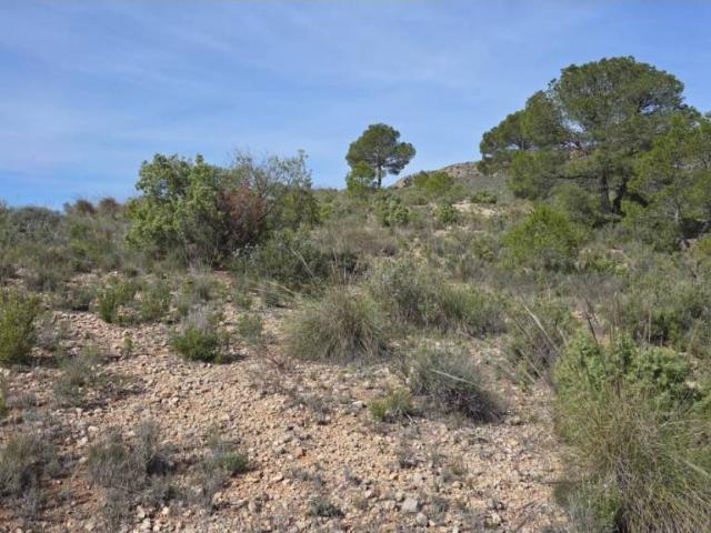 Terreno en venta en Altiplano, Murcia