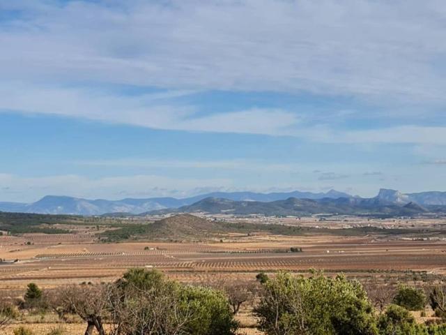 Terreno en venta en Altiplano, Murcia