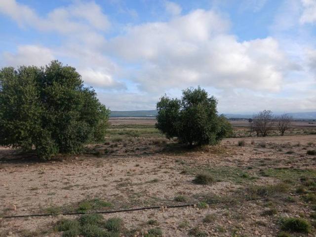 Terreno en venta en Altiplano, Murcia