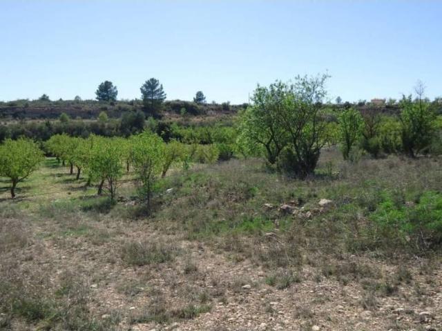 Terreno en venta en Altiplano, Murcia