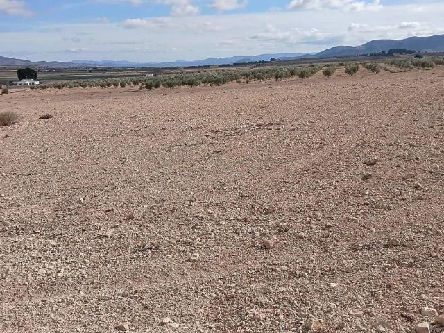 Terreno en venta en Altiplano, Murcia