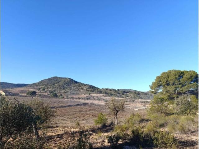 Terreno en venta en Altiplano, Murcia
