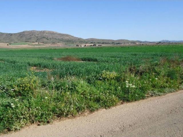 Terreno en venta en Altiplano, Murcia