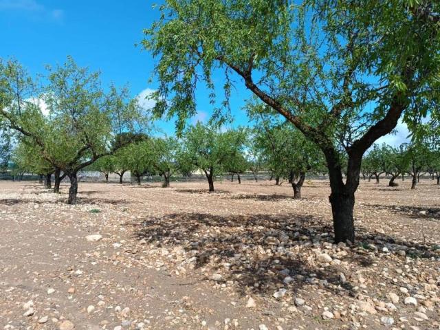 Terreno en venta en Altiplano, Murcia