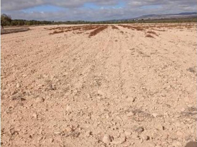 Terreno en venta en Altiplano, Murcia