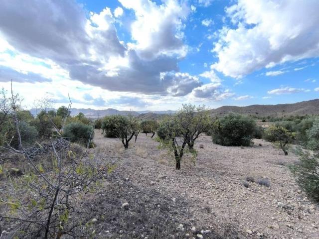 Terreno en venta en Altiplano, Murcia