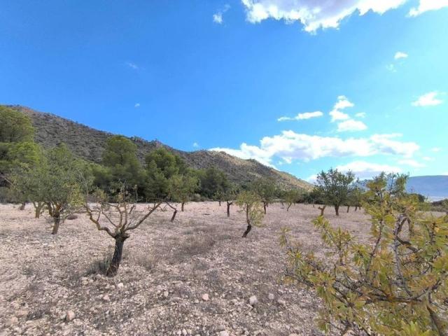 Terreno en venta en Altiplano, Murcia